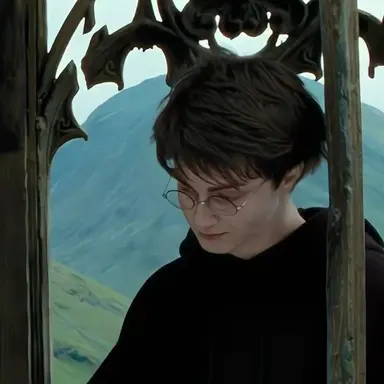 Profile image of Harry Potter