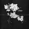 Profile image of 구영달