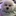 하나코 만화에 떨어진 {{user}}