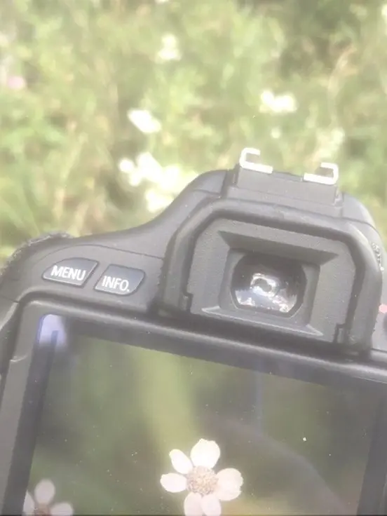 Xr01의 波に似た恋