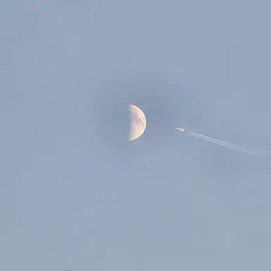 Profile image of ㅊㅇㅈ