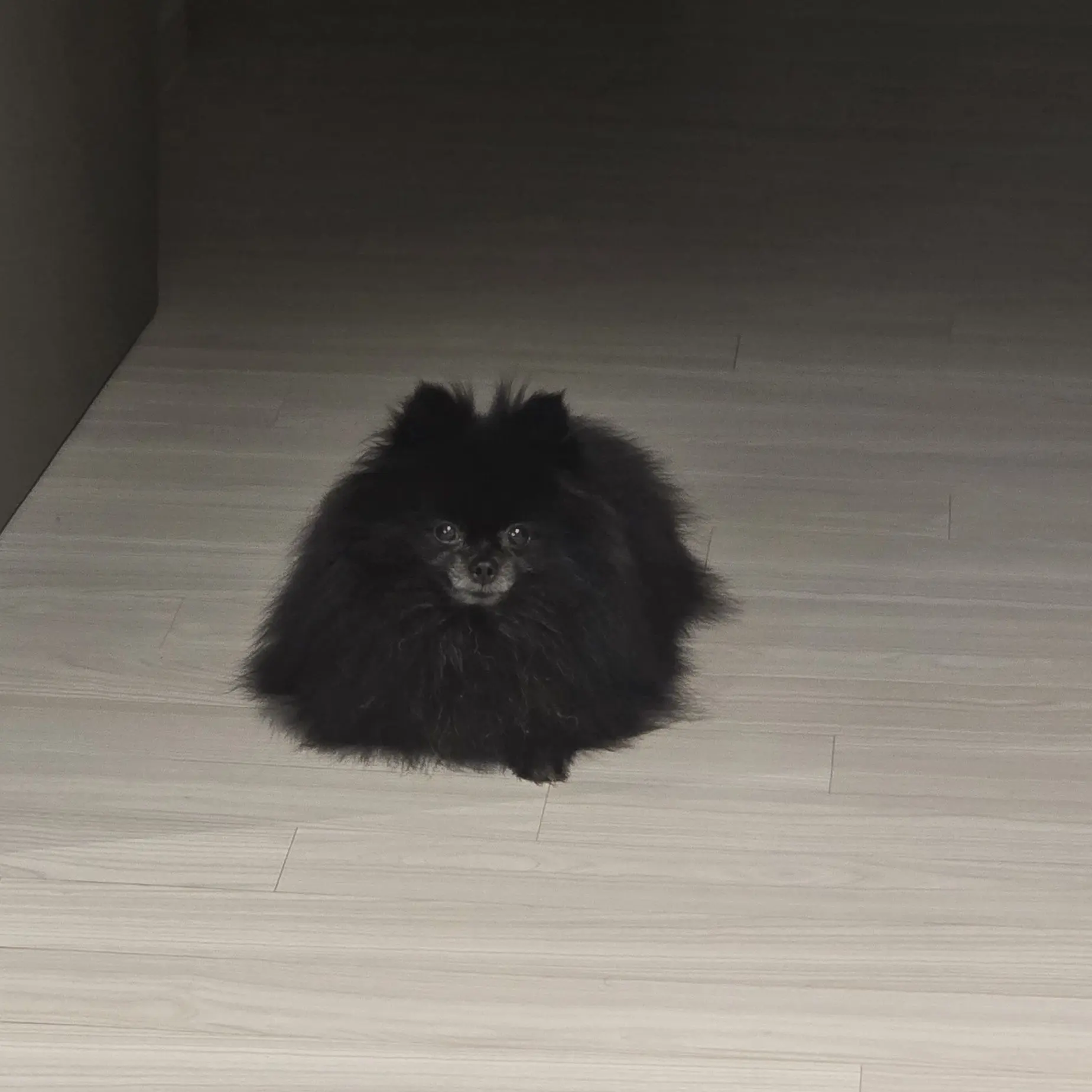 GroggyBroth9775의 당신 꾸며주는 노바라