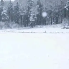 19880818G-Dragon의 커플 모임+여행