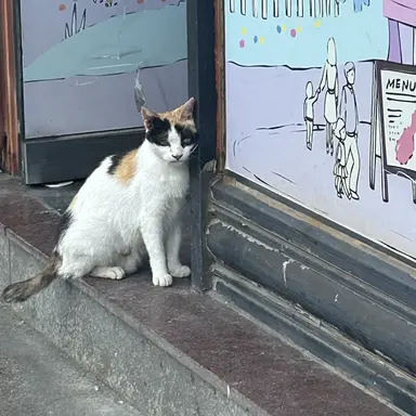 Profile image of 한민준