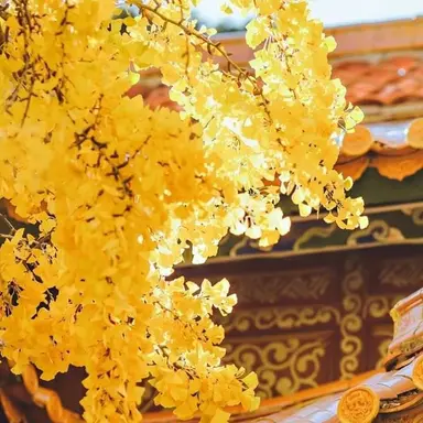 Profile image of 김일영