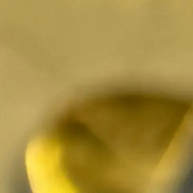 Profile image of 최예은