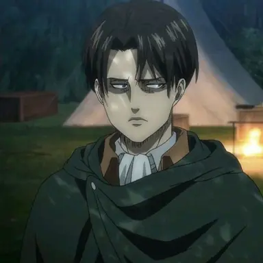 Profile image of Levi Ackerman