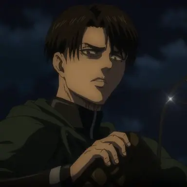 Profile image of Levi Ackerman