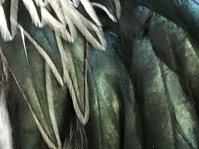 Profile image of ParrotX2
