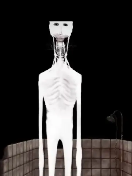 .Guest.의 The Bath.