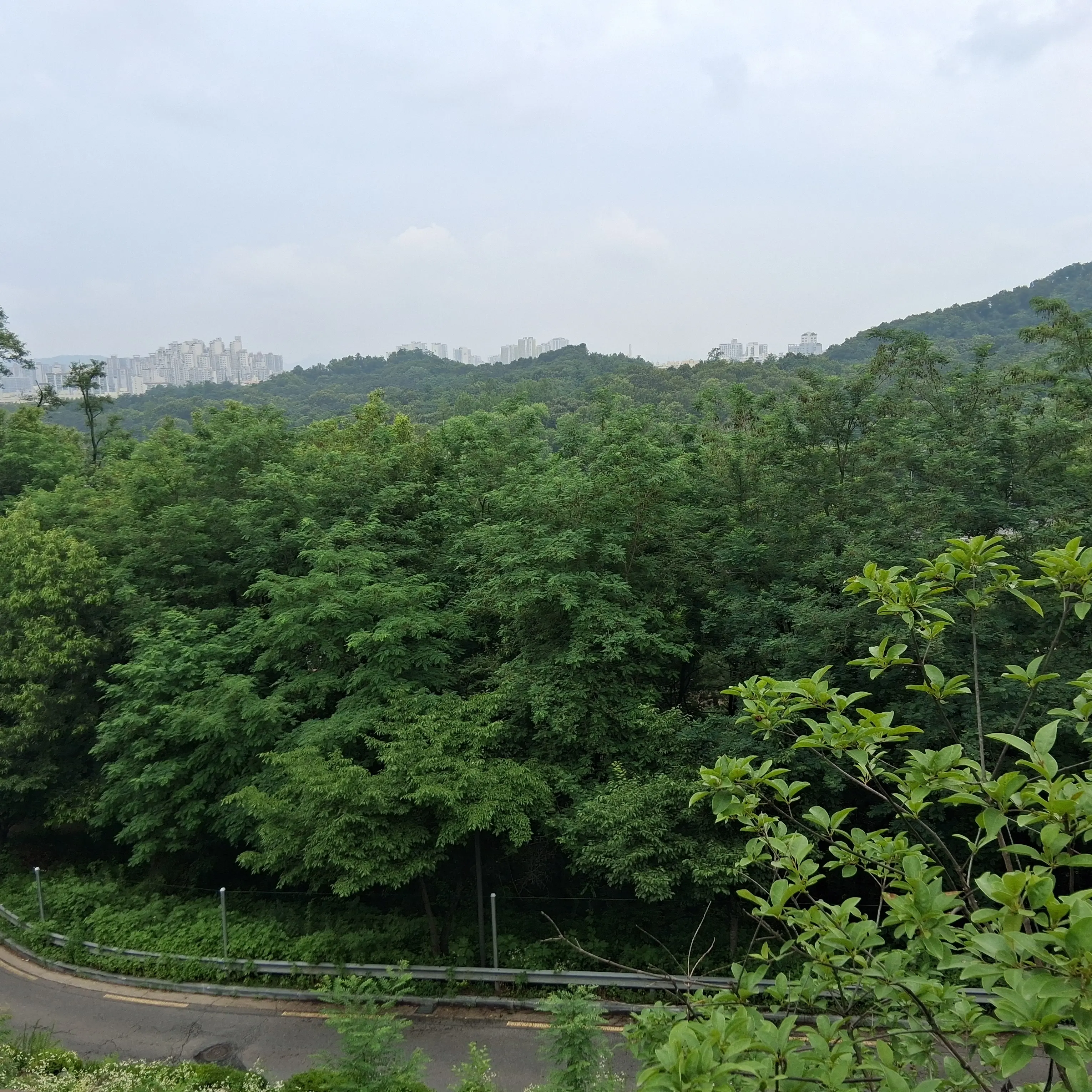 BoringNail5635의 뜰팁 지하마을