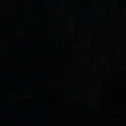 everybody의 유강민