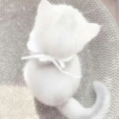 Profile image of 토토
