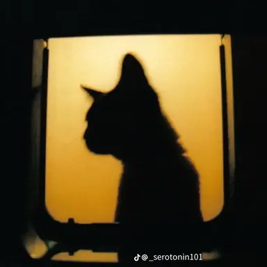 Profile image of 란하연