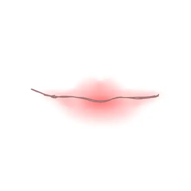 Profile image of 여우