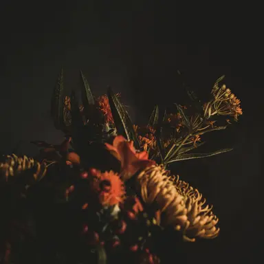 Profile image of 코마