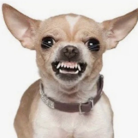 미친개
