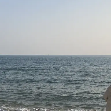 Profile image of 담임 선생님