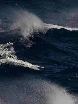 n_____의 浪漫主義