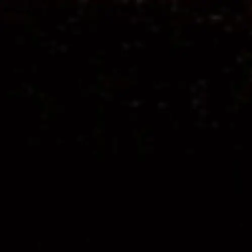 WildCloak2188의 부모님이 내 이름으로 10억을 빌렸다