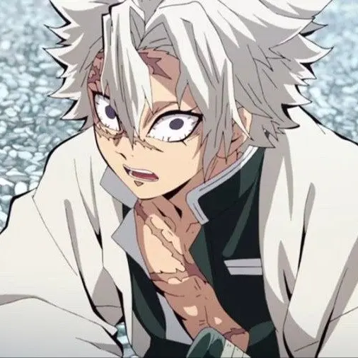 CaringLargo2815의 시나즈가와 사네미