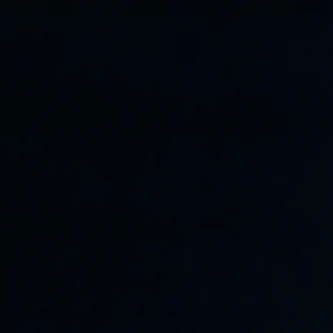베일리