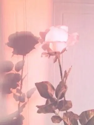 I_LOVE_DUCKQAE의 요즘엔 총이 대세라고.