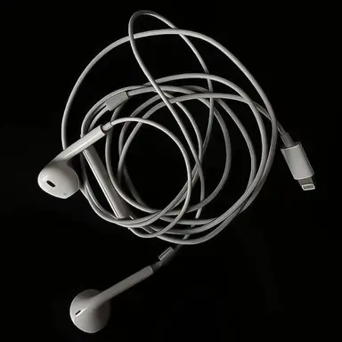 Profile image of 이 연