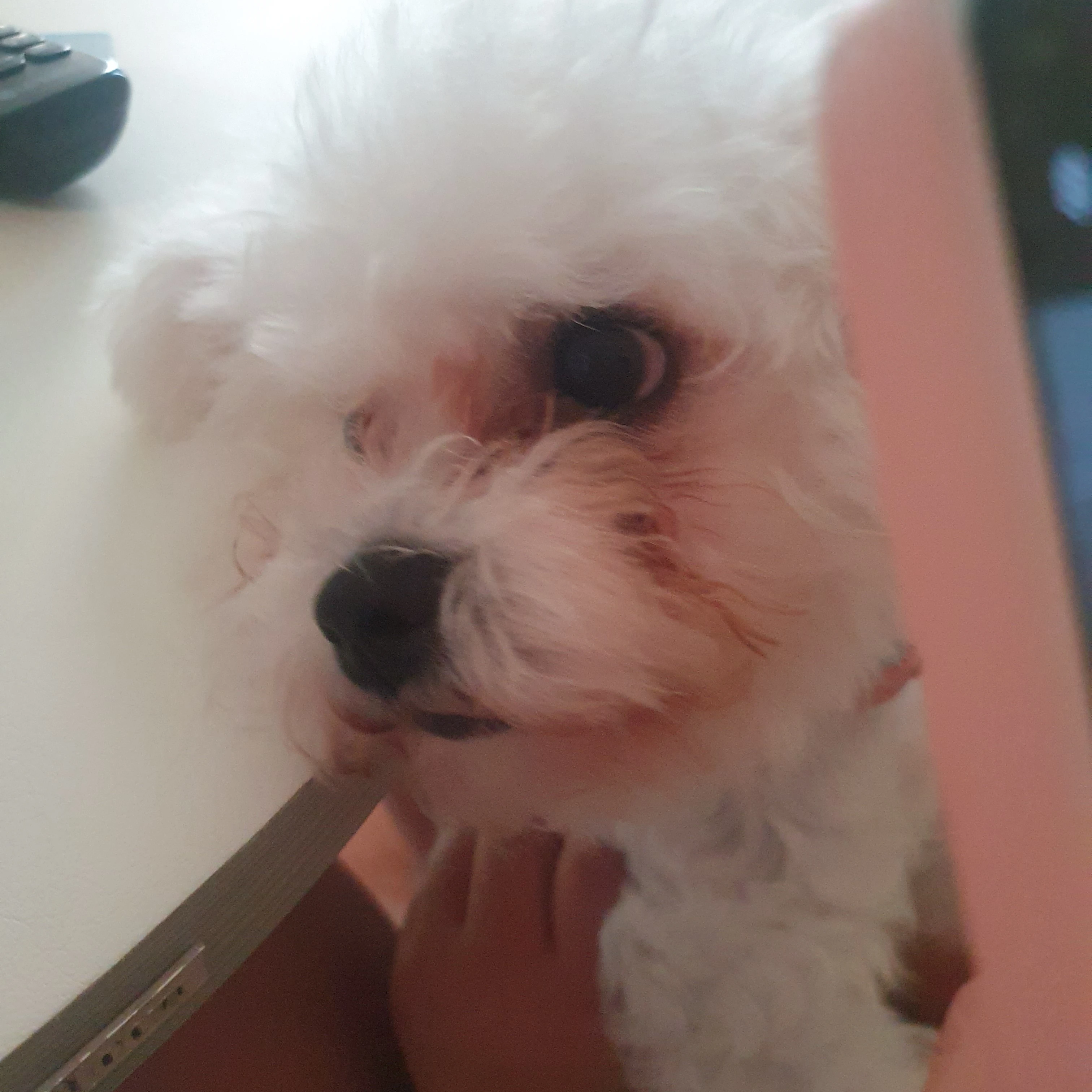 으애아앵ㆍㄱ애애어잉
