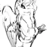 Profile image of Hawks