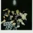 스트레이키즈