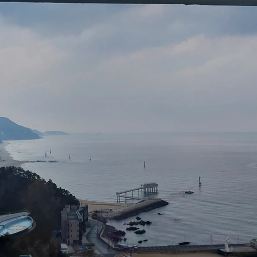 여우와 남사친들