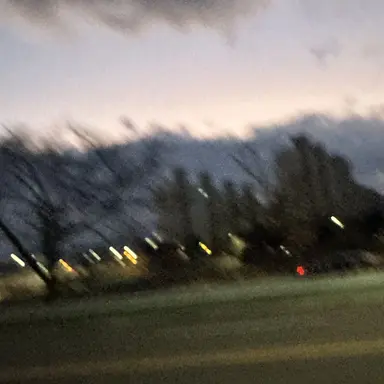 Profile image of 유하빈