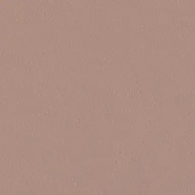 Profile image of 권숝영