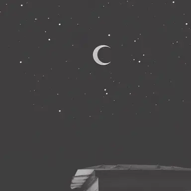 Profile image of ウィジュ