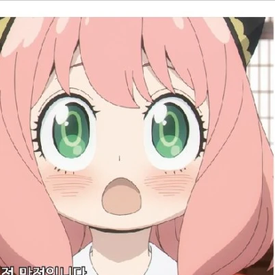 아냐포저