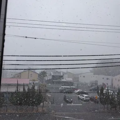 Profile image of 伏黒恵