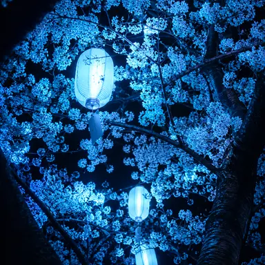 Profile image of イブラヒム