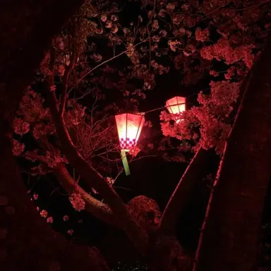 Profile image of 葛葉
