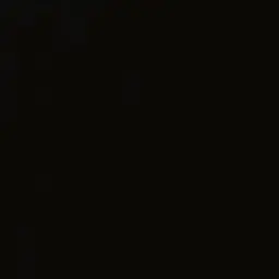 Profile image of 최태민