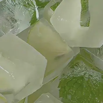 Profile image of 공룡