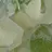 공룡