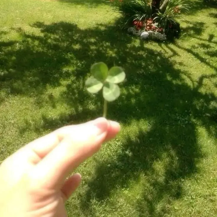 LargeSeed2310의 ――感情がない君でも~>゜。