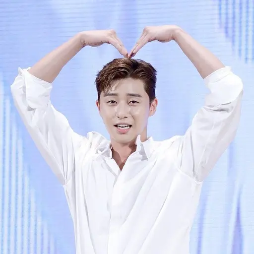 CrazyHoops7599의 박서준