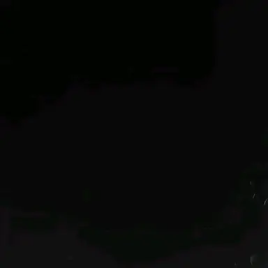 Profile image of 감재이