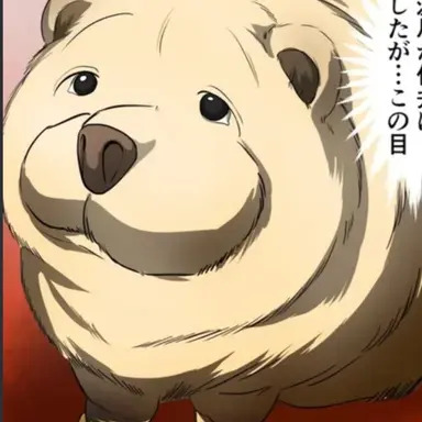 Profile image of 차우차우