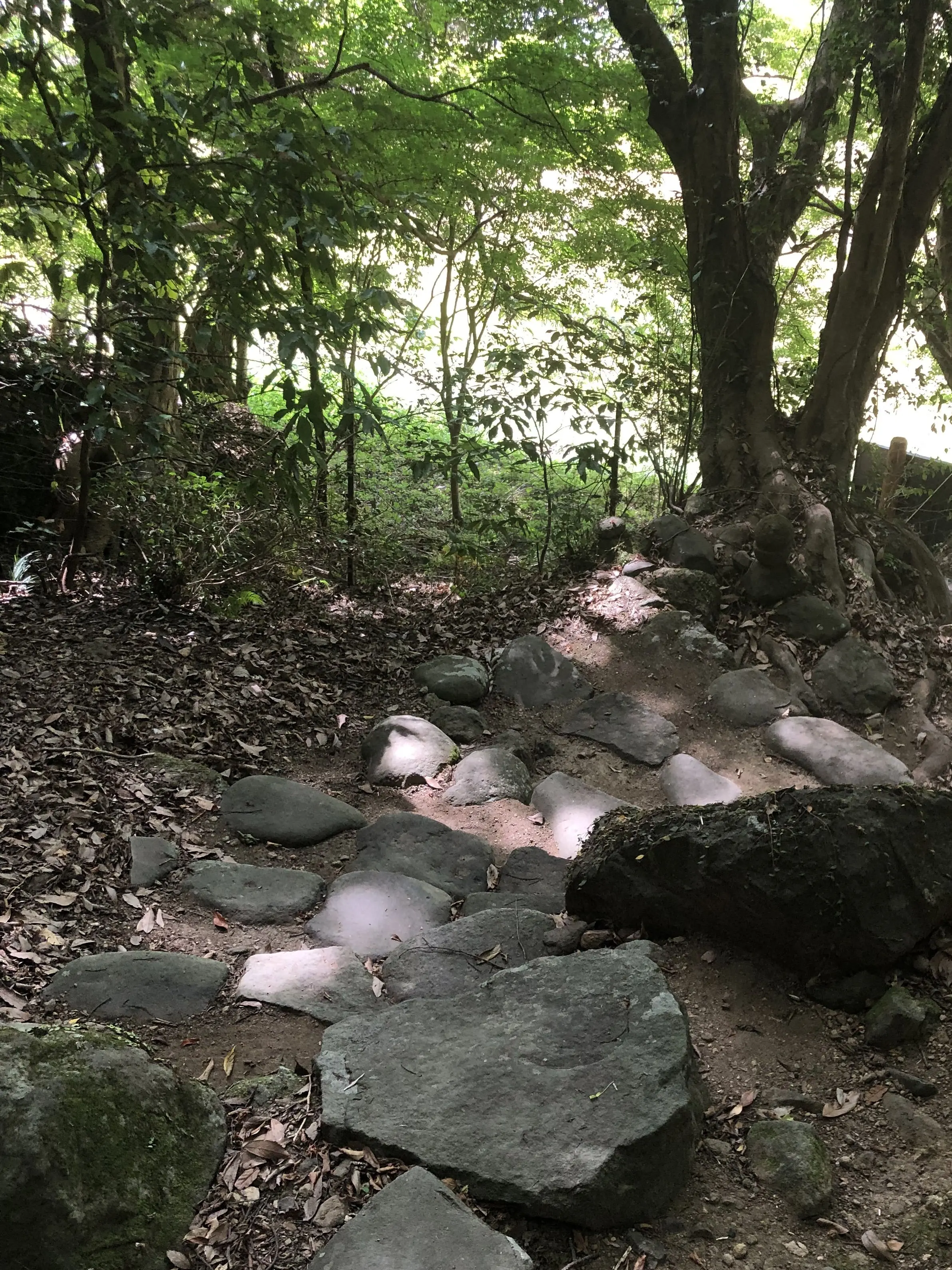 y______kix의 夏の田舎で