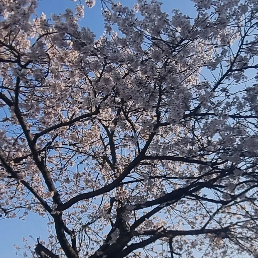 QuietFluff0410의 아야츠노 유니