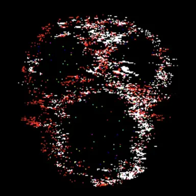 Profile image of 랜섬