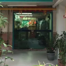 K9186의 hongkong drycleaning